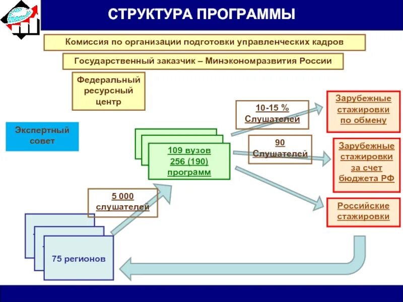 Фрц программы. Программа для структурирования. Структура программного бюджета. Структура государственной программы. Структура компании программа.