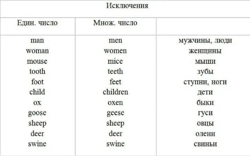 Образуйте формы единственного числа. Множественное число существительных в английском языке исключения. Английские существительные множественного числа исключения. Существительные исключения в английском языке множественное число. Множественное число имен существительных в английском исключения.