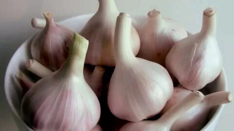 Вкус и запах чеснока