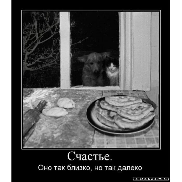 А ты была так близко как. Счастье так близко и так далеко. картинки а счастье так близко. так далеко и так близко картинка. так близко и так далеко прикол.