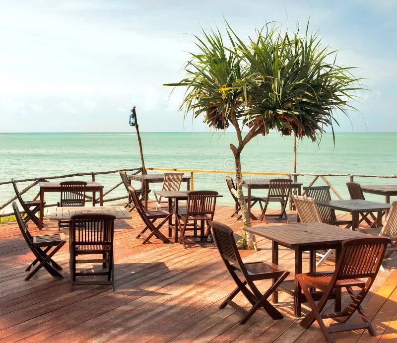 8 Best Beachfront Restaurants and Bars in Mexico Beach restaurant design, Beach 
