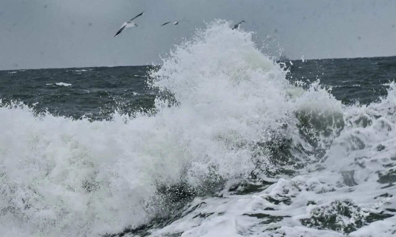 Ветер поднимал волны. Черное море шторм. Сильный шторм на черном море. Сгонный ветер на море. Шторм зимой на черном море.