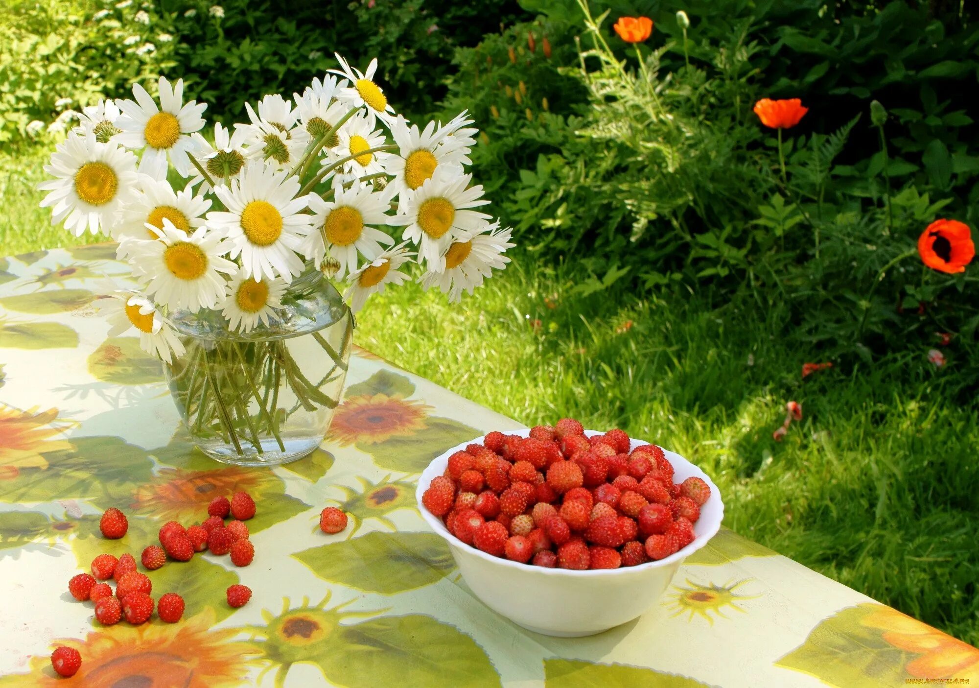 Утро летнего дня. Ромашки и ягоды. Лето природа земляника и Ромашка. Доброе утро земляника ромашки. Поляны земляника, ромашки.