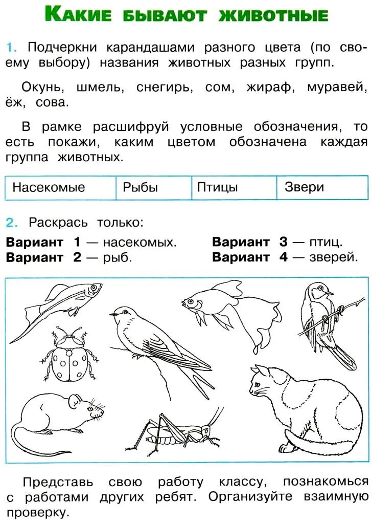 Какое бывает домашнее задание. Задания по окружающему миру 2 класс. Задание по окружающему миру класс. Окружающий мир 2 класс задания. Задачки по окружающему миру 2 класс.