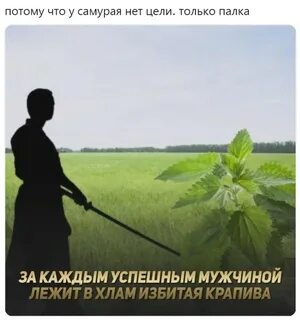 Бить крапивой
