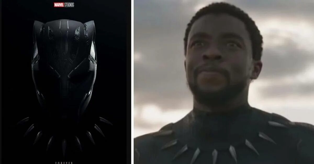 Сцена после титров пантера