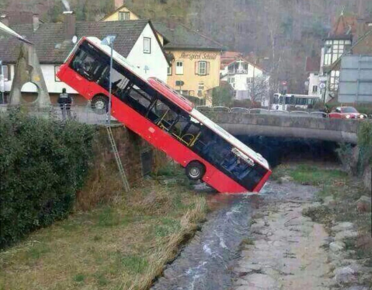 Имидж ничто жажда все. Bus drink. School bus мем. Bus drink. Пьяный автобус (фильм 2020) смотреть онлайн.