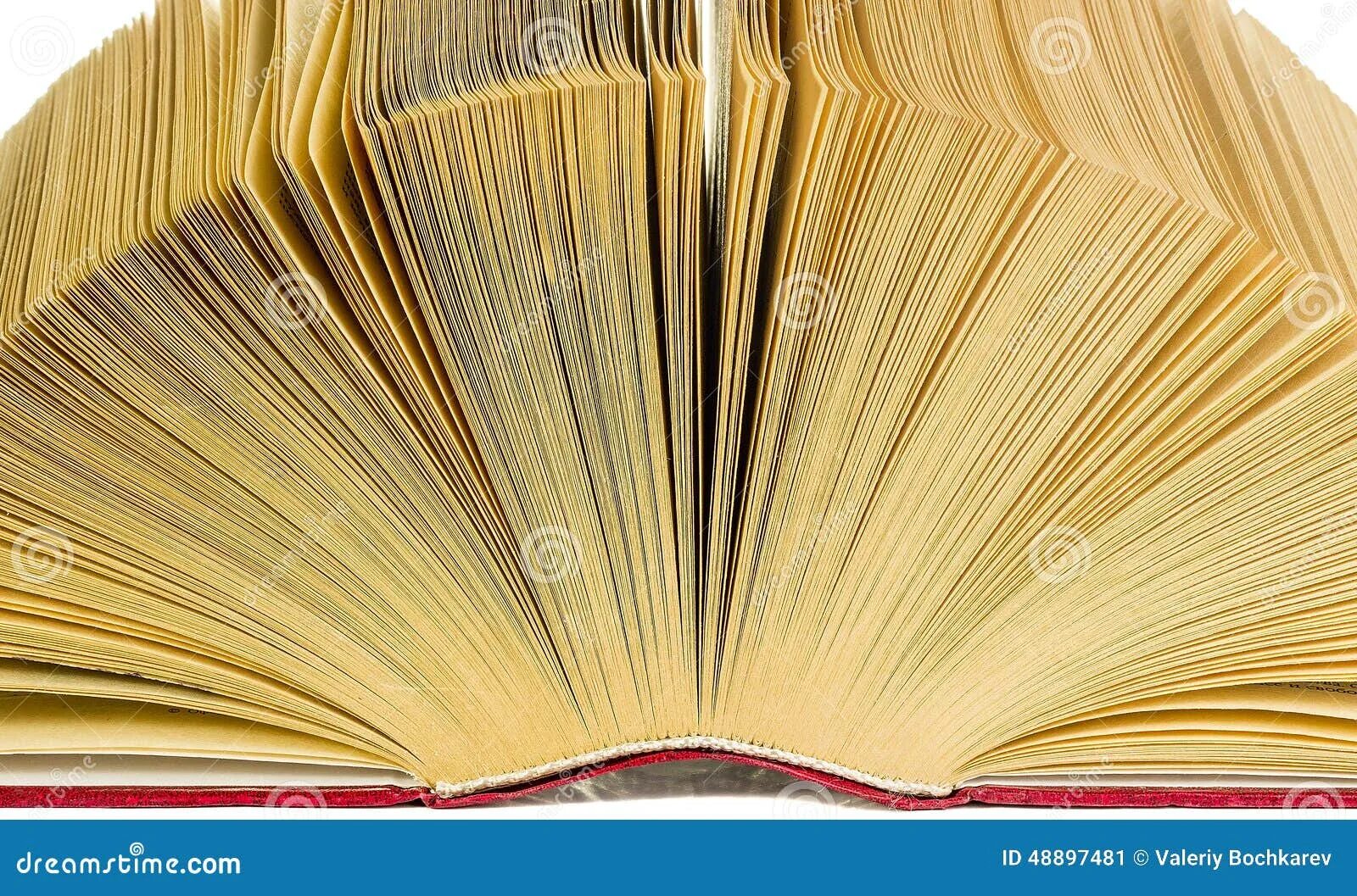 Толстая старая книга. Открытая книга на прозрачном фоне. Открытая толстая книга. Раскрытая книга Толстого. Толстая книга на прозрачном фоне.