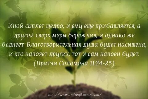 Иные 24