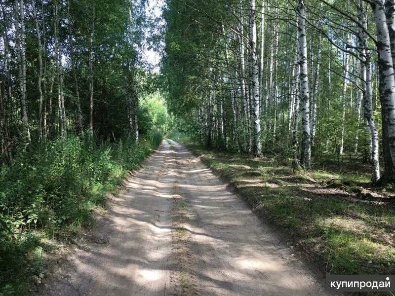 Сокольский р