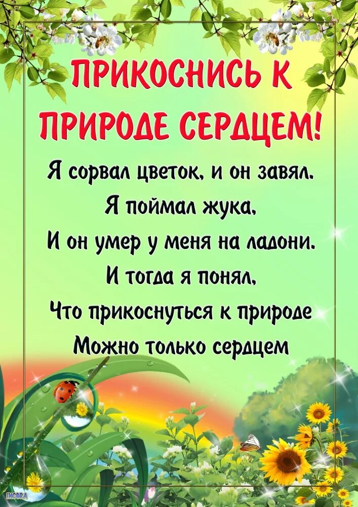 Рекомендации по экологии. Прикоснись к природе. Экология для детей дошкольного возраста. Консультация для родителей береги природу. Советы по экологии для детей.