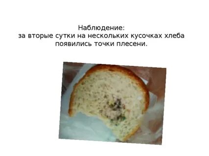 На хлебе образуется плесень