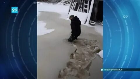 Погода на неделю в плесецком районе