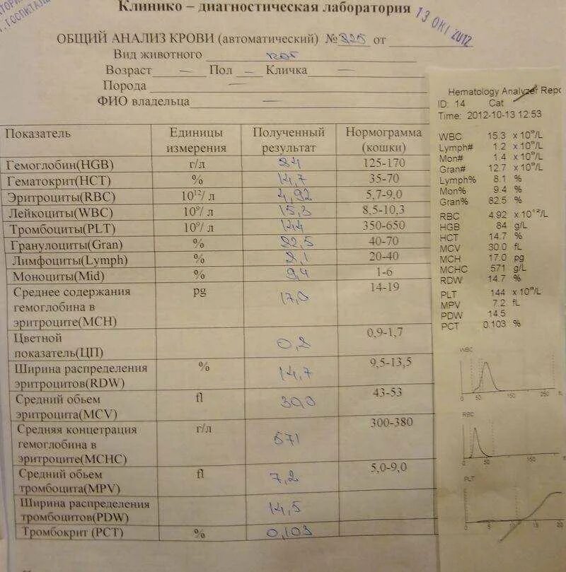 Неприятные анализы. Анализ крови. Исследование анализа крови. ОАК общий анализ крови. Общий анализ крови развёрнутый.