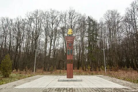 Молоди год
