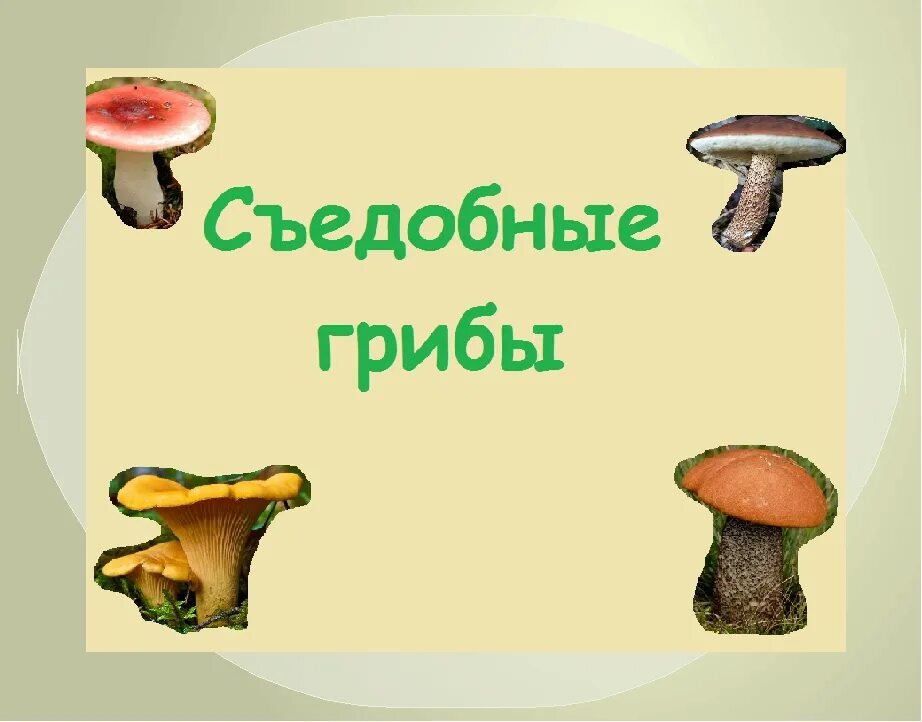 Три съедобных гриба и три несъедобных. Съедобные грибы слайд. съедобные грибы презентация. съедобные грибы окружающий мир. информация о съедобных грибах.