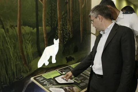 Объясните значение слова муфта плут заповедный маркиз