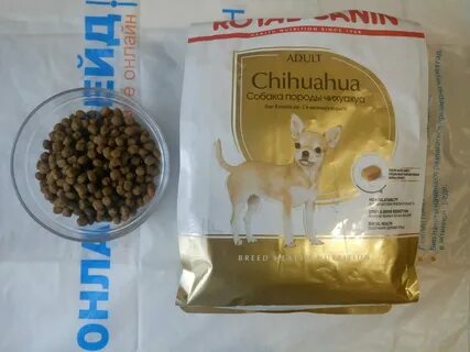 Какие крупы дают чихуахуа