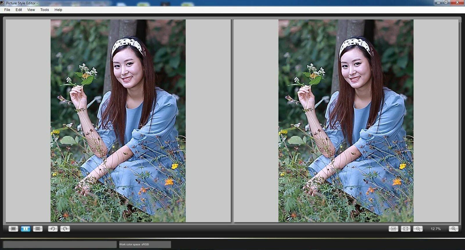 Edit styles. Picture style canon. picture style for canon. canon picture style editor. стиль изображение точный какие фото получаются.