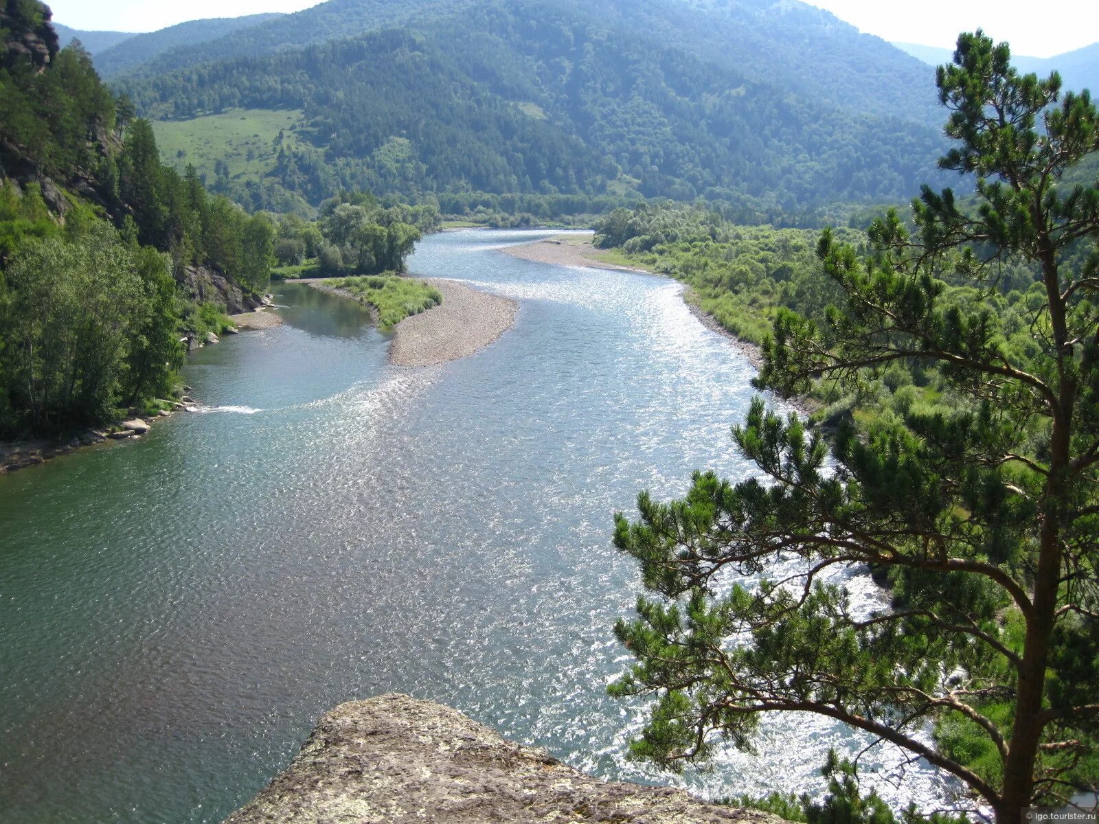 Чарыш шипуново река. Горный чарыш, село чарышское. Чарыш горный алтай. Река чарыш горный алтай. Алтайский край чарышский район усть тулатинка.