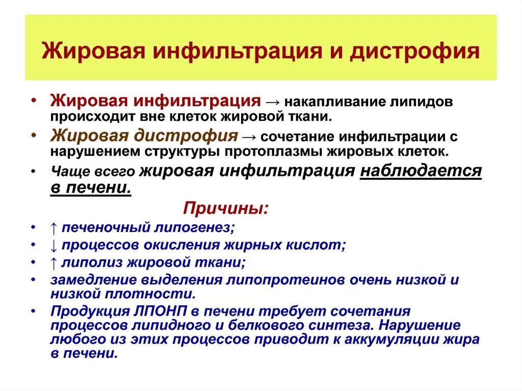 Причины жировой печени. Причины развития жировой инфильтрации печени биохимия. Жировая инфильтрация печени патофизиология. Механизм развития жировой дистрофии. Причины жировой инфильтрации печени.