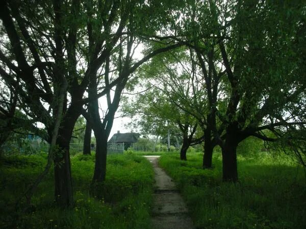 Деревня дорохово московская область. Дорохово деревня. село дорохово московской области. улица кузовлево. дорохово.. дорохова район.