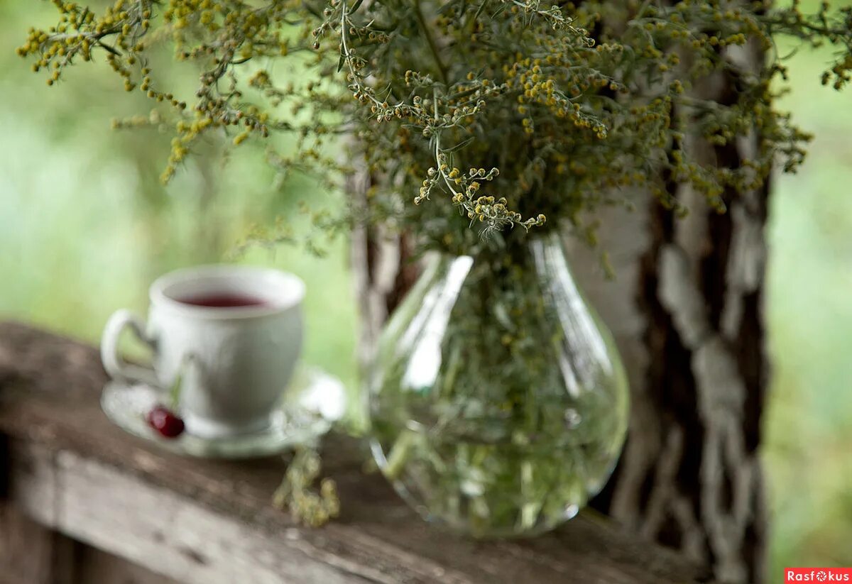 Риз боуэн «королевский переполох». Библиотека ароматов полынь. Терпкий аромат полыни. Риз боуэн дворцовый переполох. Терпкий аромат полыни.