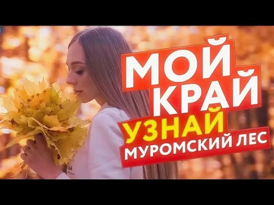 Сосны живопись. Песня муромские леса. Сосновый лес гуашью. Сосна гуашью. Природный парк "муромский лес".