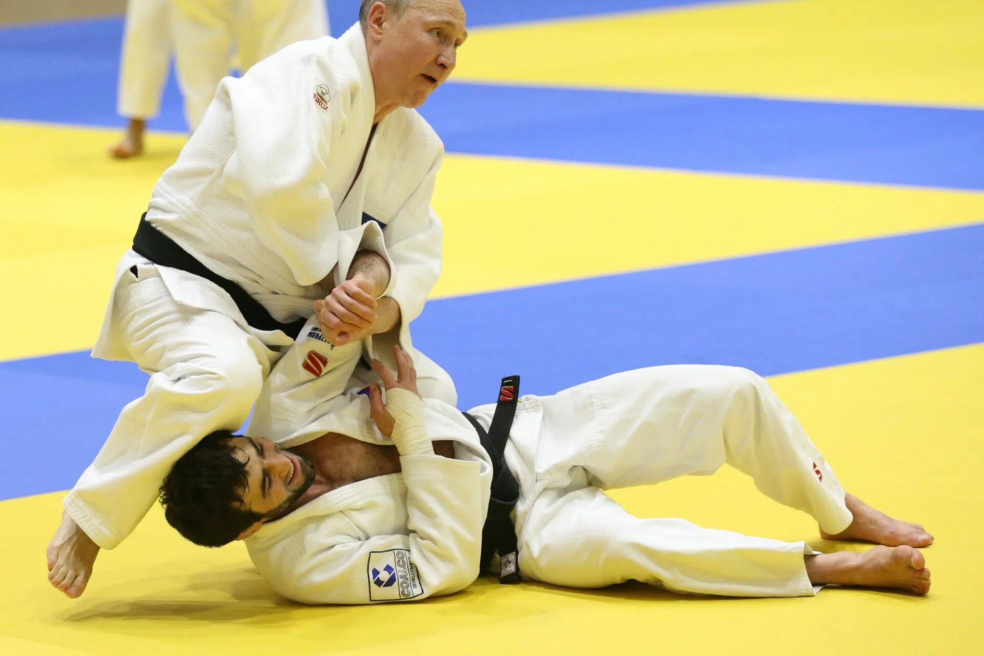 Самбо или тхэквондо. Хван хи тхэ дзюдо. Владимир путин дзюдо. Самбо или тхэквондо. Самбо или тхэквондо.