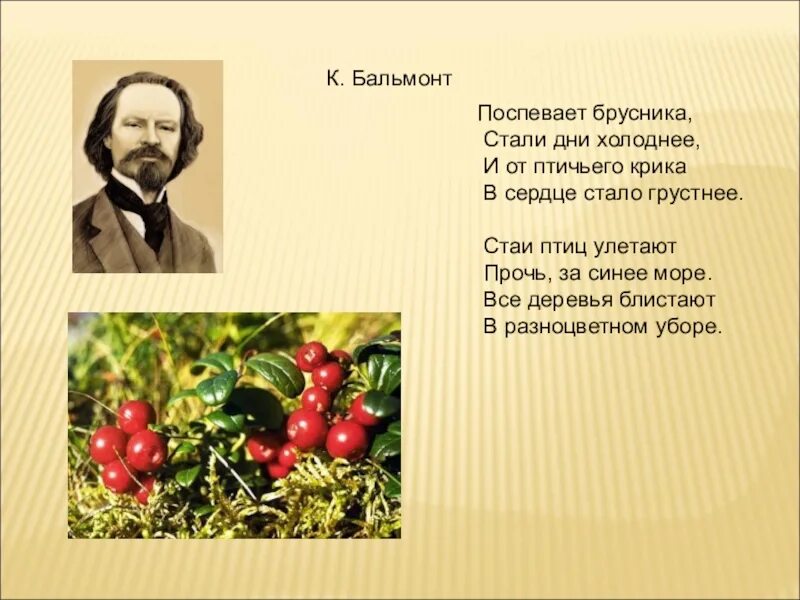 Стали брусника дни. Бальмонт поспевает брусника. Бальмонт поспевает брусника стихотворение.