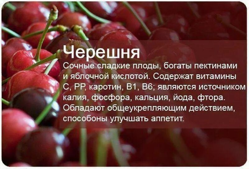 Польза черешни. Интересные факты о фруктах. Полезные факты про фрукты. Необычные факты о фруктах. Витамины в черешне.