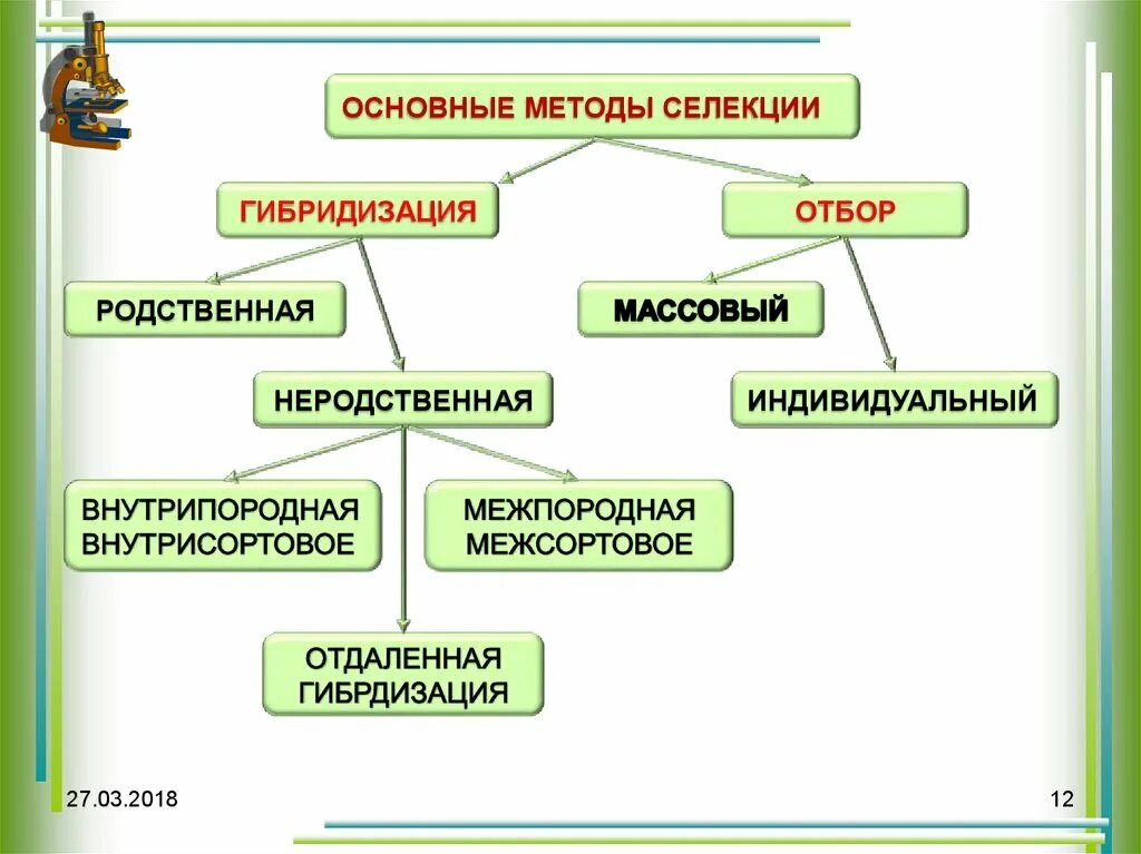 Заполните таблицу основные методы селекции