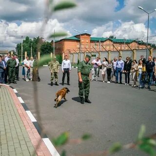 Какие новости с курской границы