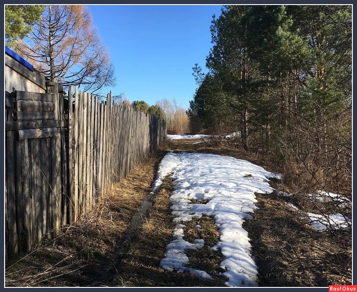 Все взморье утопает в свежем снегу