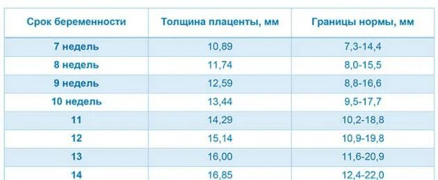 24 недели температура. Толщина плаценты в 20 недель норма. Толщина плаценты 35 мм в 37 недель. Толщина плаценты в 33 недели норма. Толщина плаценты при беременности.