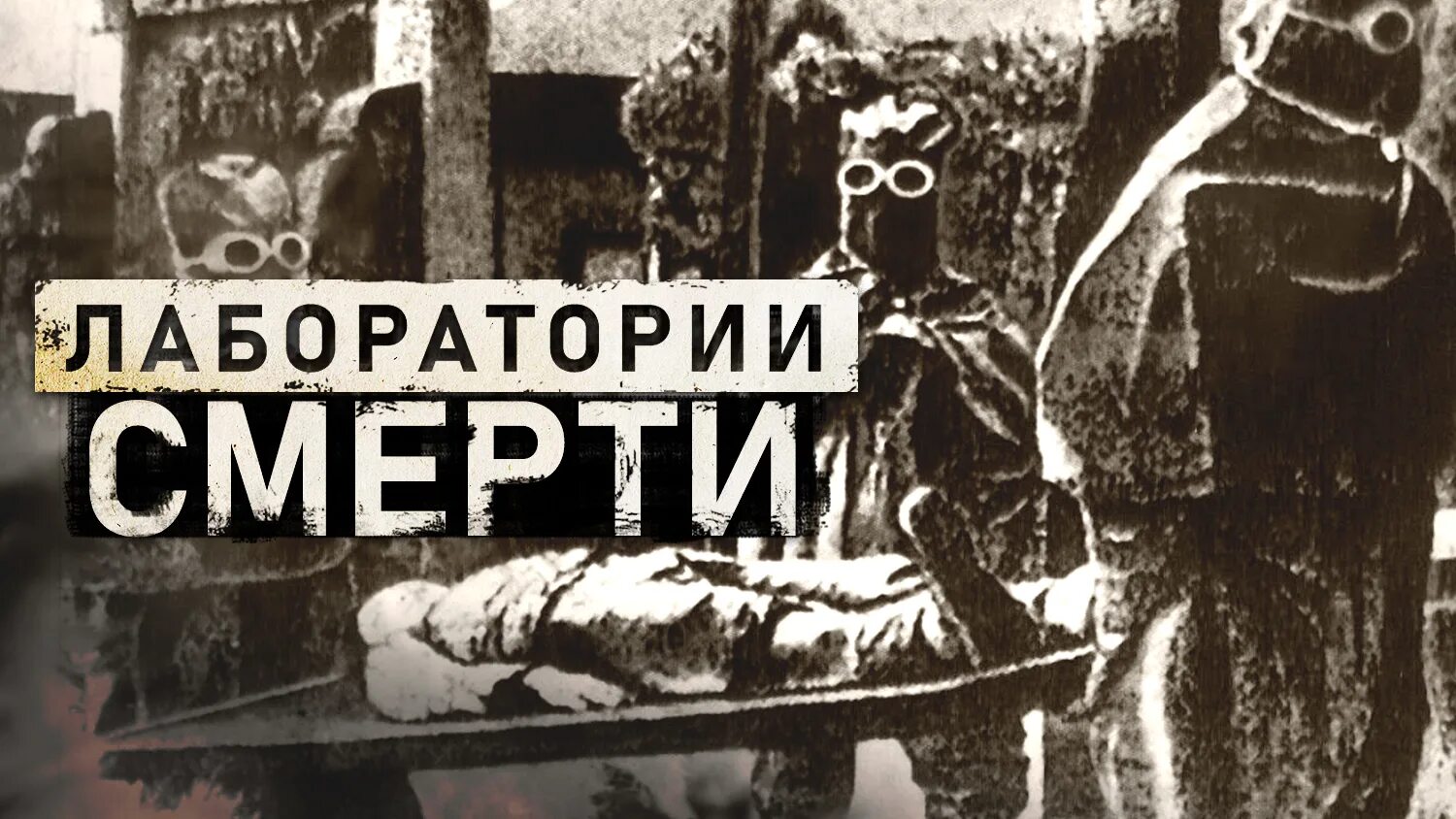 Эксперименты японии. Эксперименты японии