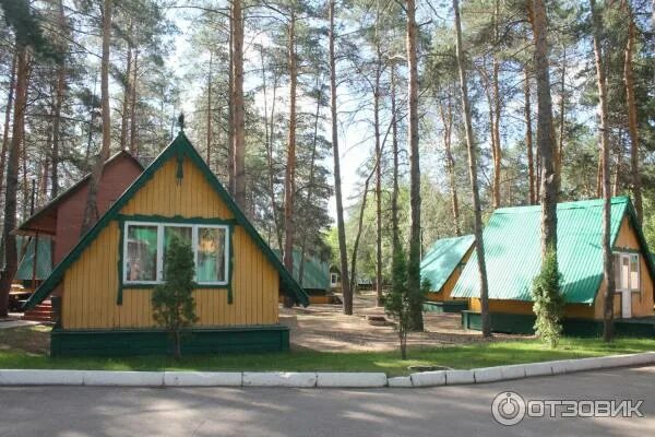 Турбазы в царевщине самара. База отдыха сосенки малая царевщина. турбаза малая царевщина самара. база отдыха сосенки самара царевщина. турбаза сосенки самара.