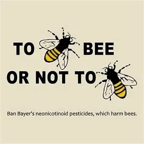 Not the bees. Bee or not the bee. bee or not to be. be or not to be пчела. концовка to bee.