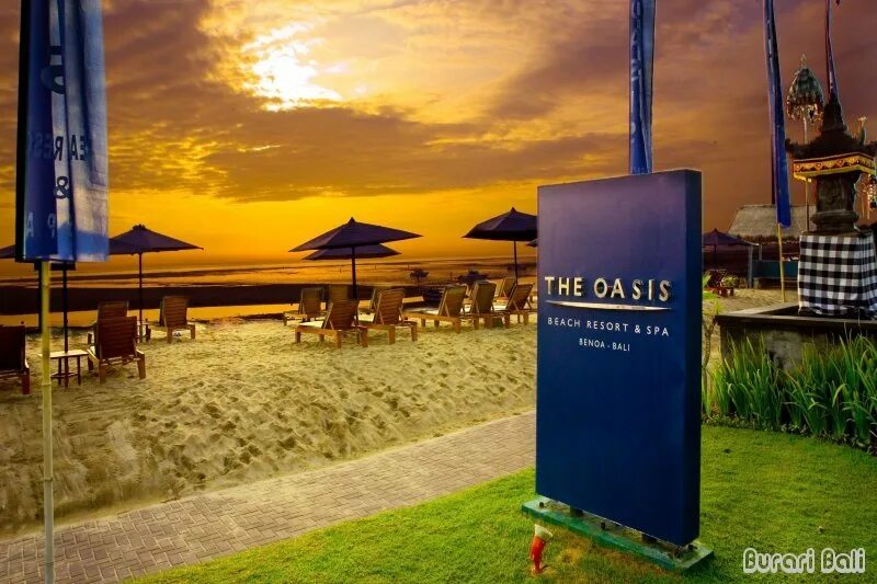 клуб оазис. клуб оазис москва. Jaz makadi oasis 5. клуб оазис. клуб оазис.