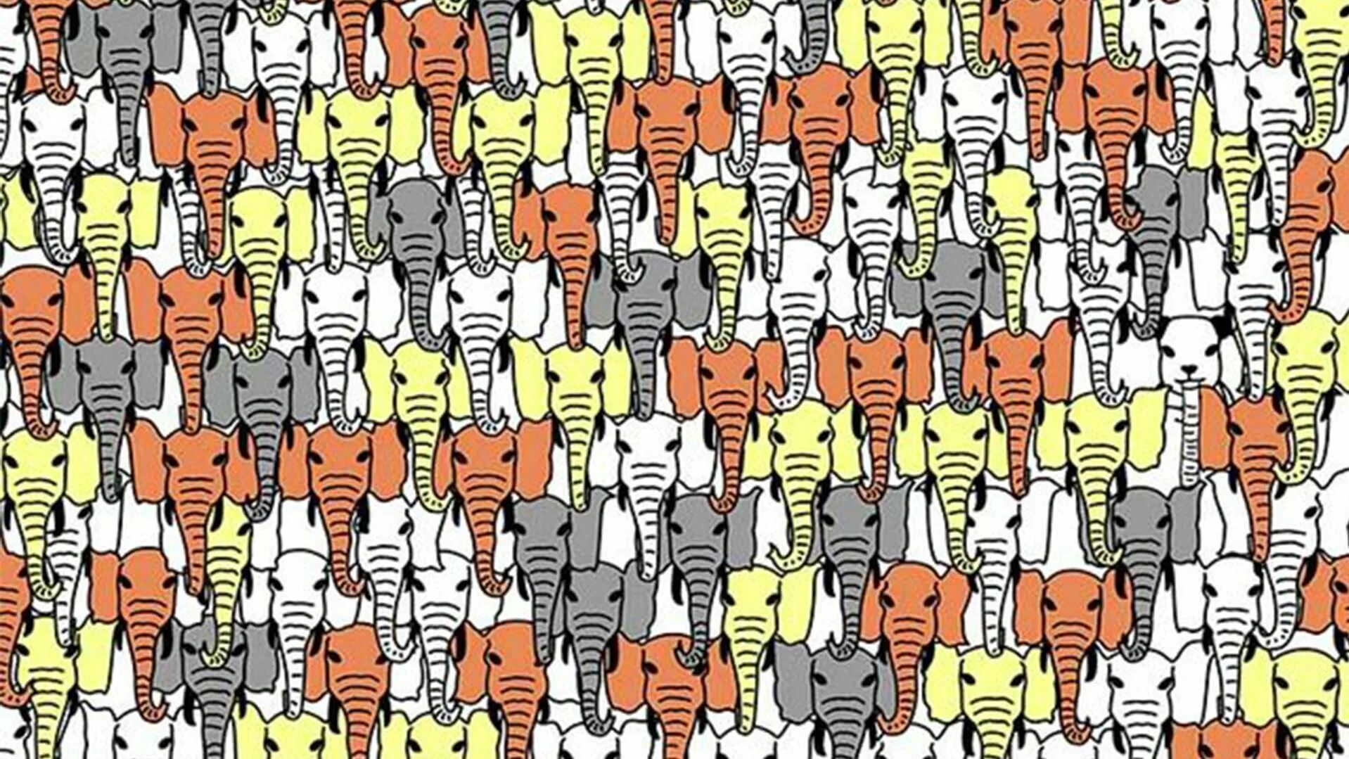 14 Animals to find - Hidden Hidden picture puzzles, Hidden pictures, Picture puz