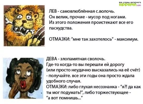 Средневосточный лев. Лев маты. Лев в атаке. Лев маты. Животные лев.