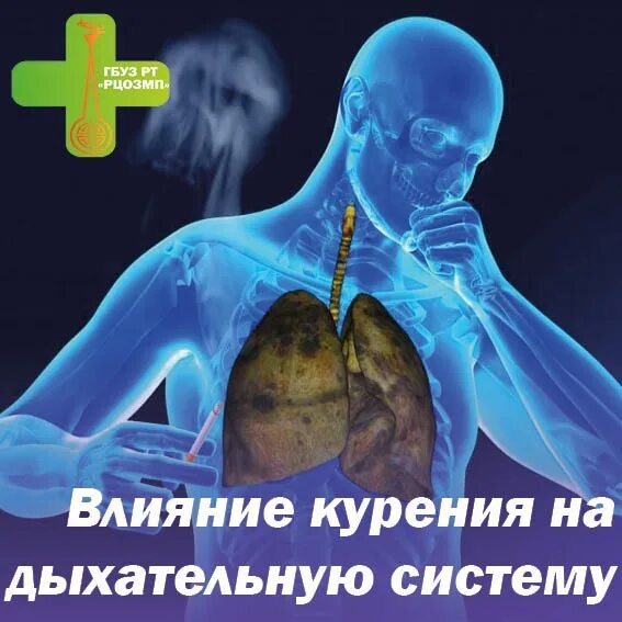 Влияние курения на дыхательную систему. Влияние табака на органы дыхания фото. дыхание курильщиков свиду. влияние курения на органы дыхания живые фото. деготь против мышей воздействие на дыхательные пути человека.