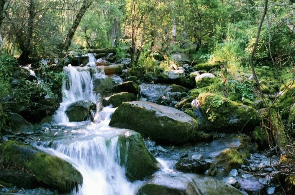 Шум воды ручья. Звуки природы. Звуки лесного ручья. Горный Родник. Шум природы.