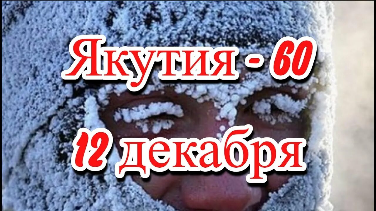 Замерзшие животные в казахстане 2021. Якутские морозы. Якутск минус 60. Якутск морозы минус 50. Якутск зимой.