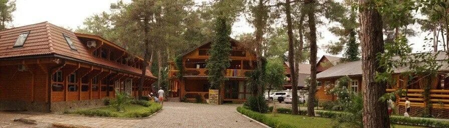 Кипарисовая аллея абхазия. Роща реликтовой сосны пицунда. Кипарисовая роща в пицунде абхазия. Кипарисовая аллея абхазия. Пицунда кипарисовая аллея пляж.