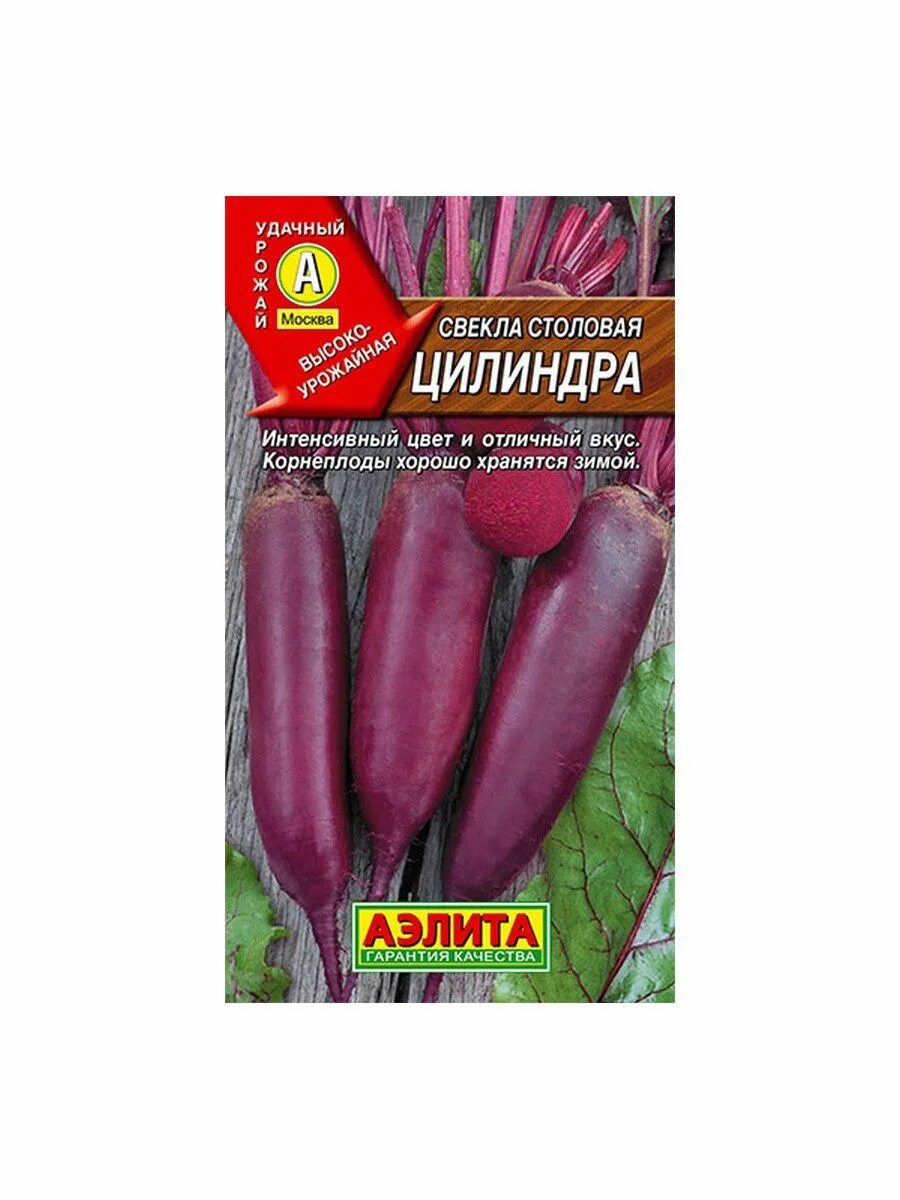 Сорт свеклы цилиндра. Гавриш свекла цилиндра.