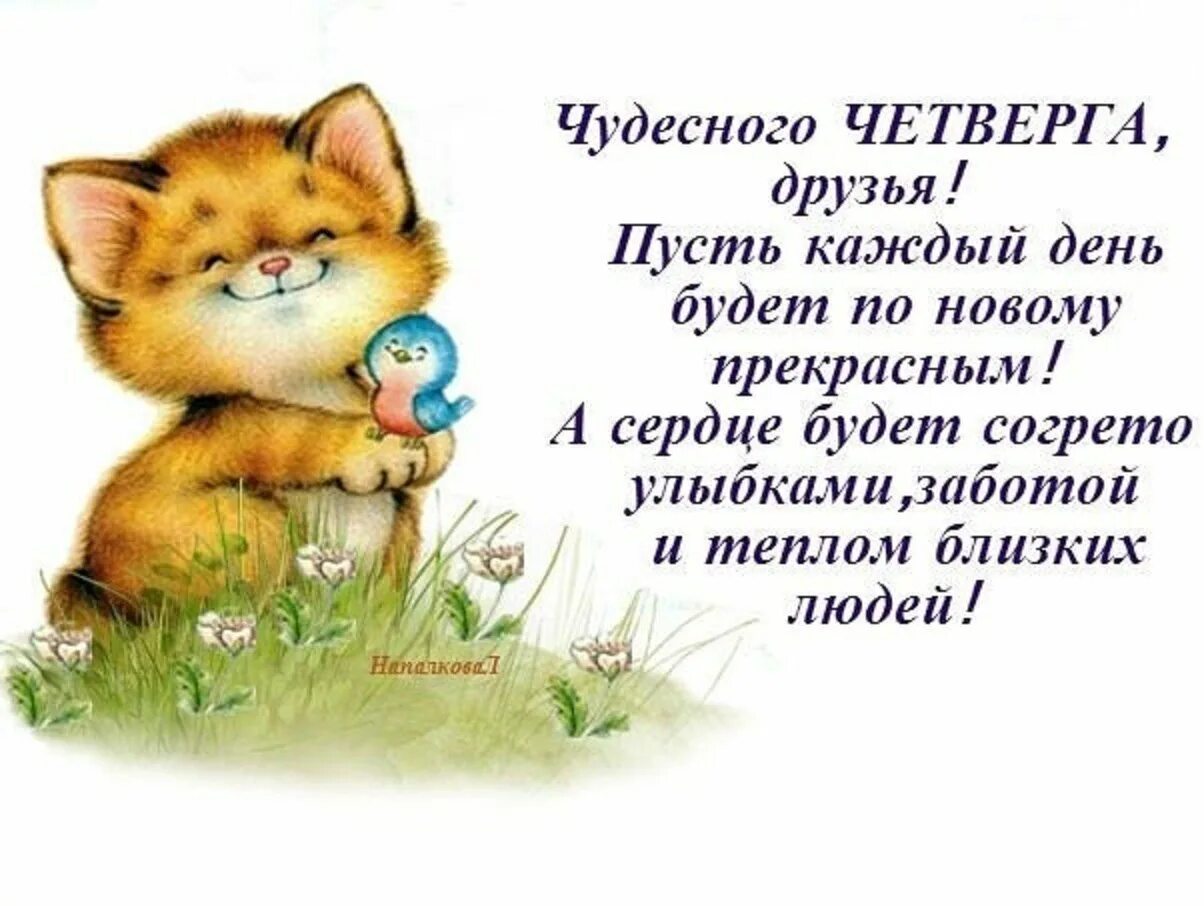 Удачного четверга и хорошего настроения. С добрым четвергом картинки красивые с надписями. С добрым четвергом картинки красивые с надписями. Открытки доброе утро. Открытки хорошего четверга.