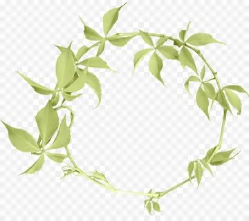 Branch around