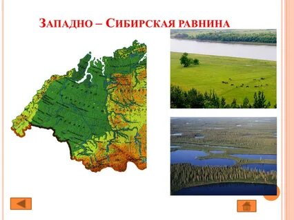 Карта западно сибирской равнины