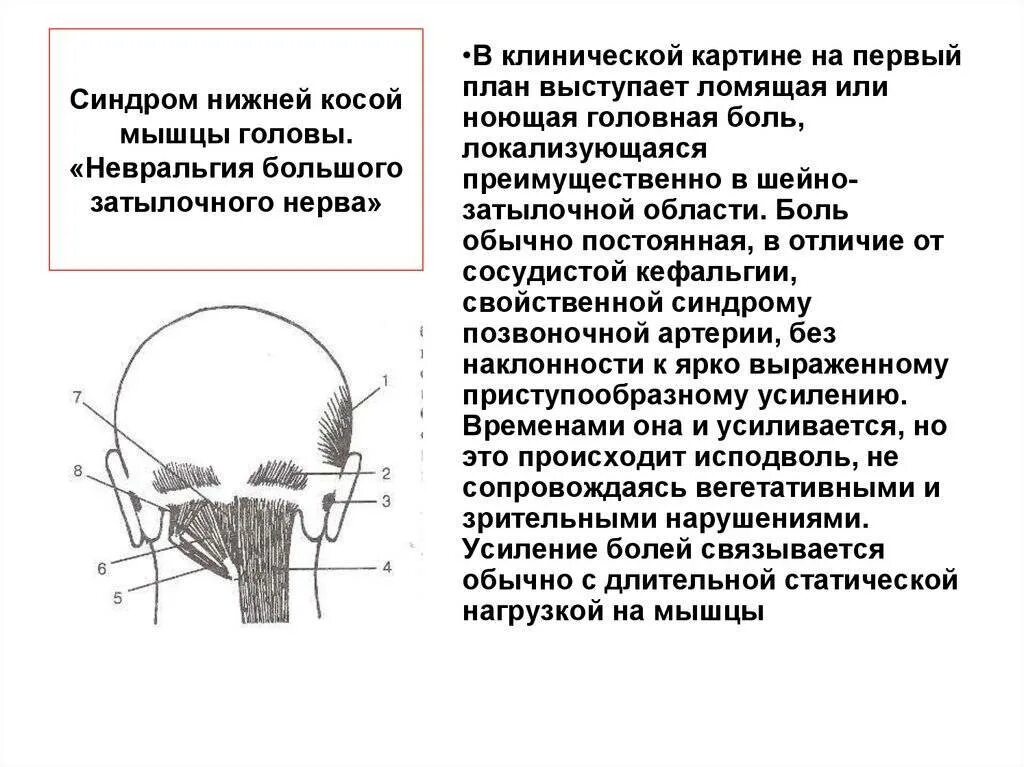 Воспаление на затылочной части головы. Затылочный нерв болит голова. Нейропатия затылочного нерва